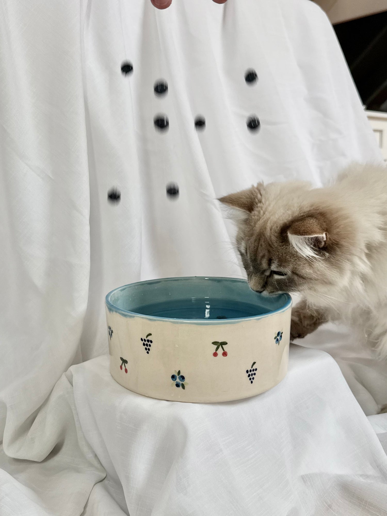 Zvířecí miska Blueberry